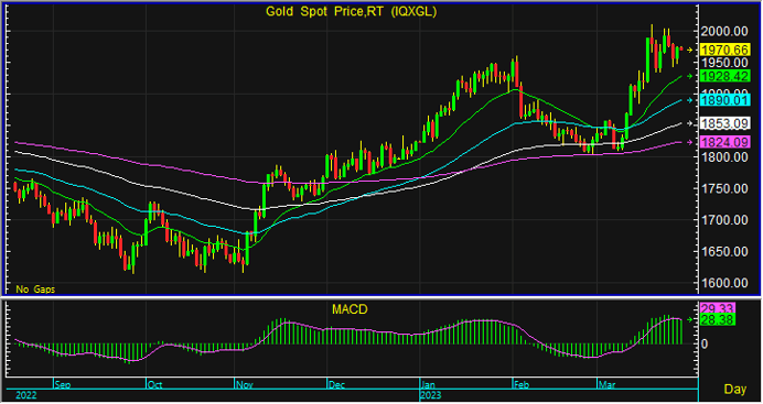 gold spot 19