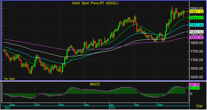 night gold spot 1