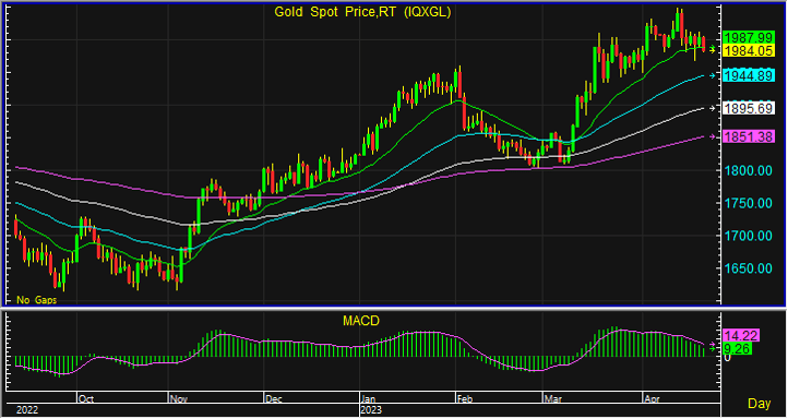 night gold spot 11