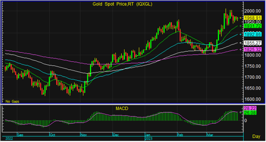 night gold spot 17