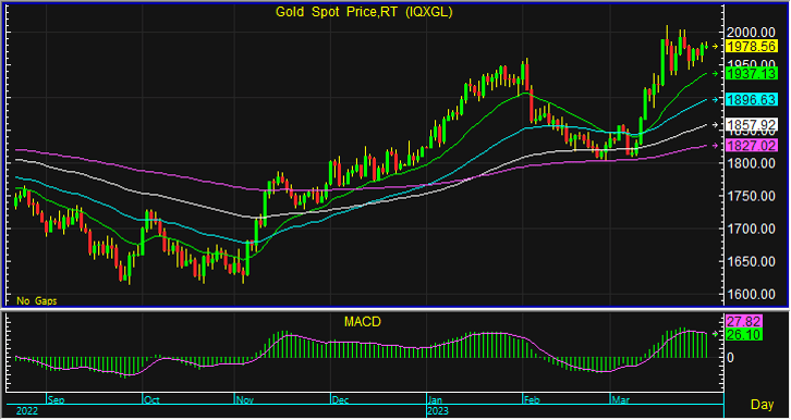 night gold spot 18