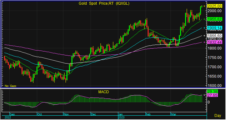 night gold spot 2
