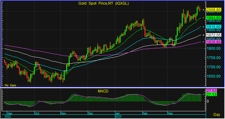 night gold spot 3