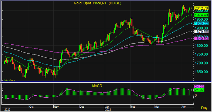 night gold spot 6