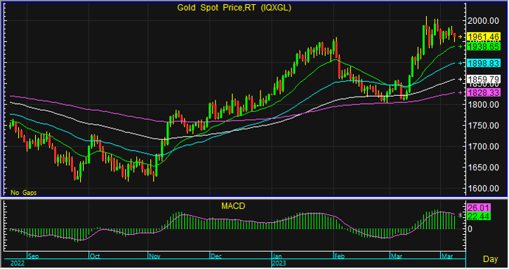 night gold spot