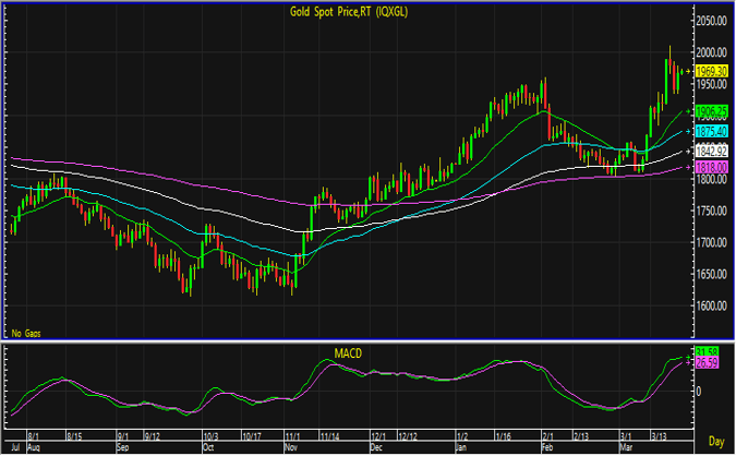 Gold spot 15