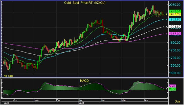 gold spot 16 1