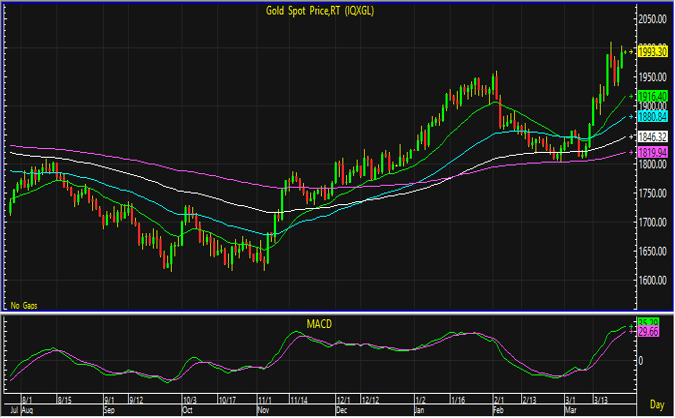 gold spot 16