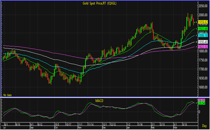 gold spot 18
