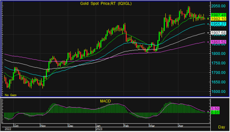night gold spot 020566