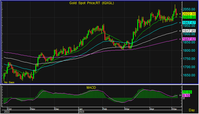 night gold spot 1