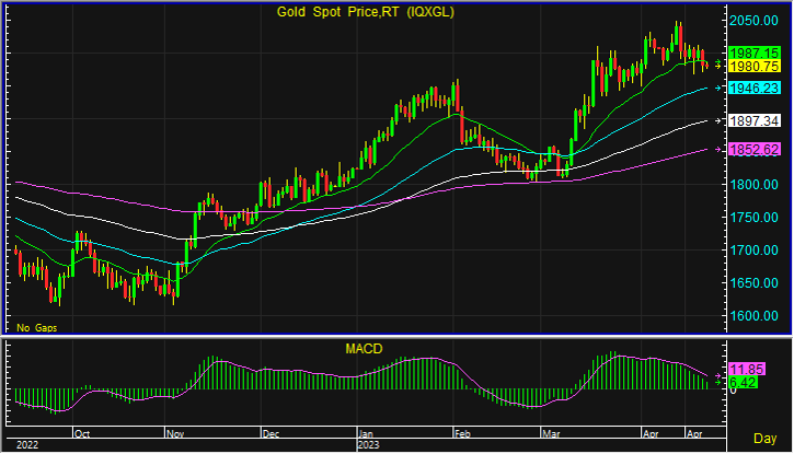 night gold spot 12