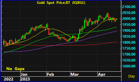 night gold spot 13 1