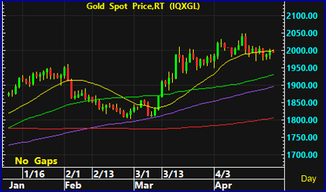 night gold spot 14 1