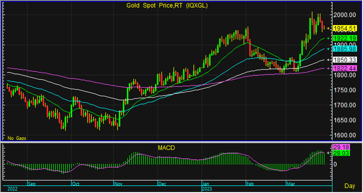 night gold spot 15