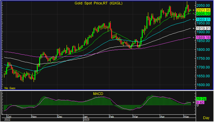 night gold spot 2