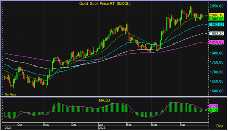 night gold spot 270466