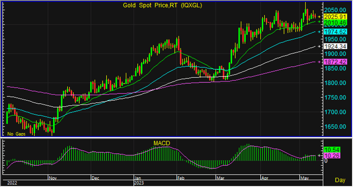 night gold spot 4