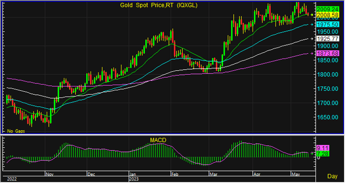 night gold spot 5