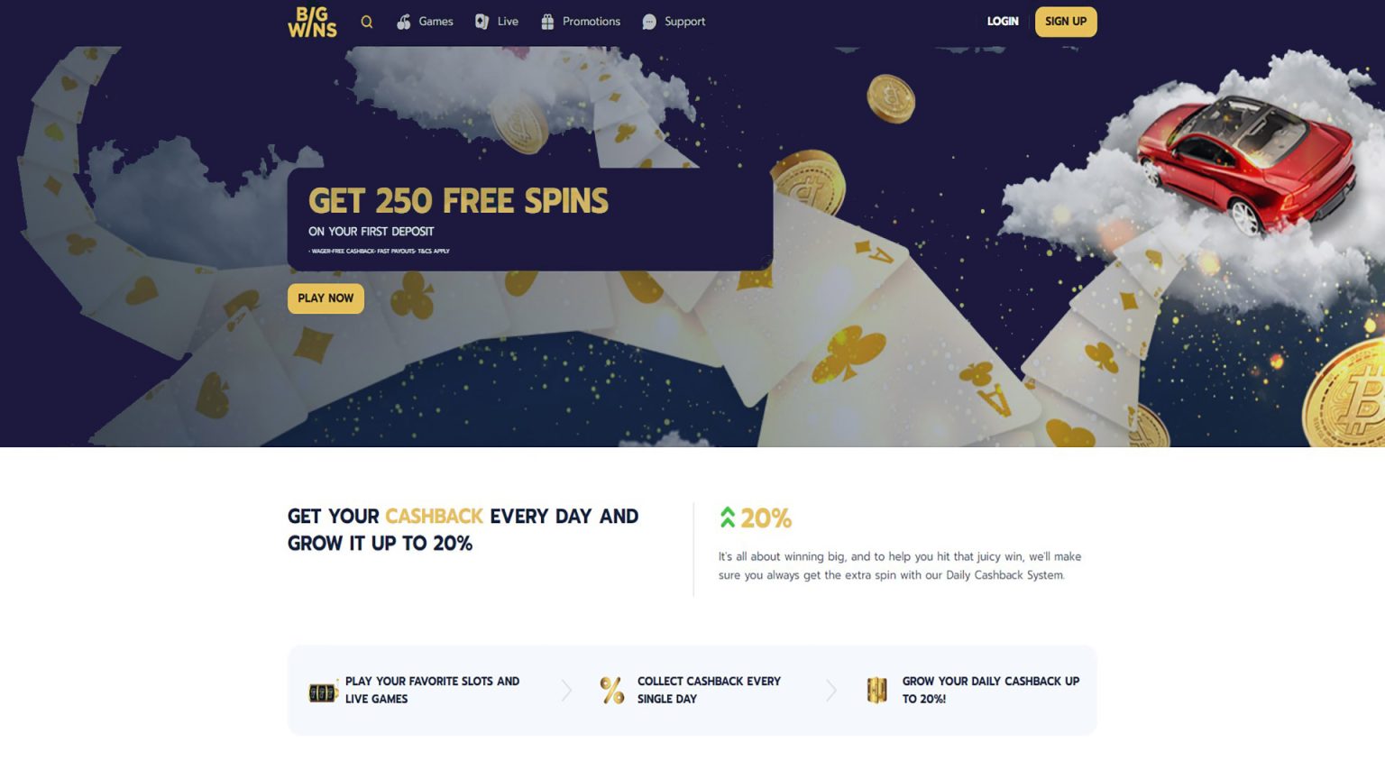 BigWins Online Casino Testimonial